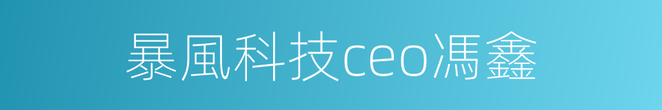 暴風科技ceo馮鑫的同義詞