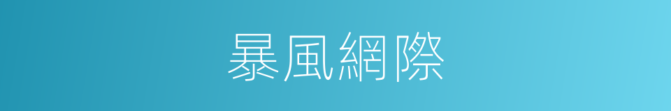 暴風網際的同義詞
