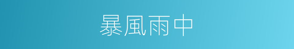 暴風雨中的同義詞