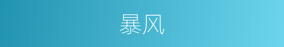 暴风的意思
