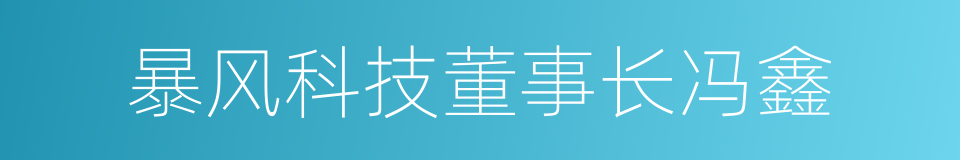 暴风科技董事长冯鑫的同义词