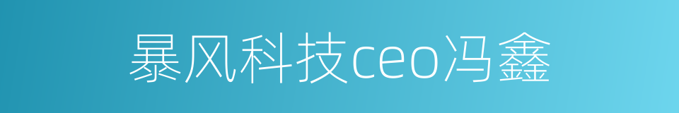 暴风科技ceo冯鑫的同义词