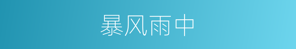 暴风雨中的同义词