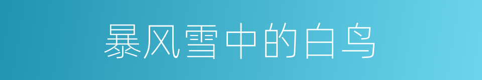 暴风雪中的白鸟的同义词