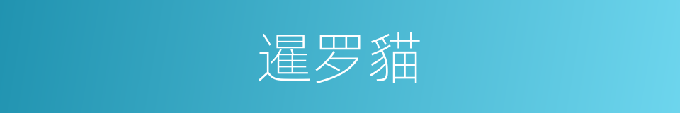 暹罗貓的意思