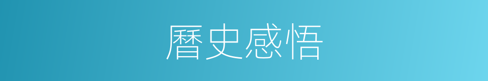 曆史感悟的同義詞