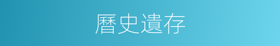 曆史遺存的同義詞