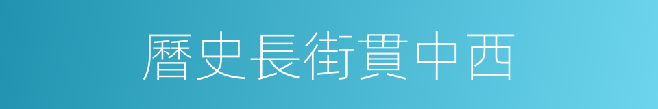 曆史長街貫中西的同義詞