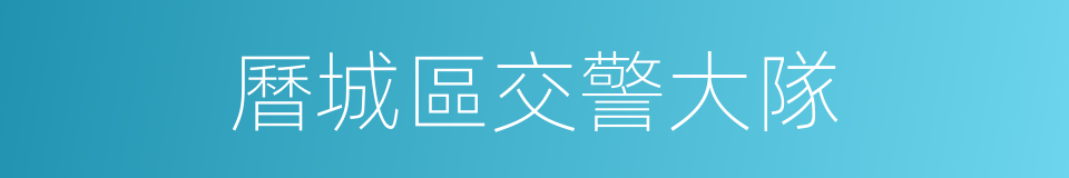 曆城區交警大隊的同義詞