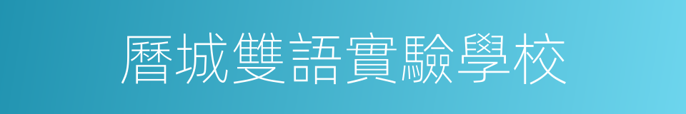 曆城雙語實驗學校的同義詞