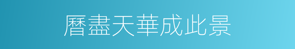 曆盡天華成此景的同義詞