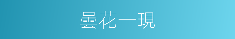 曇花一現的意思