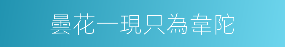 曇花一現只為韋陀的同義詞