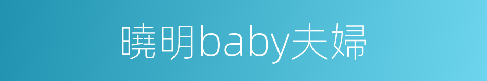 曉明baby夫婦的同義詞