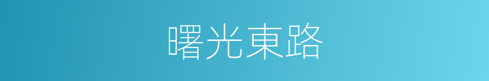 曙光東路的同義詞