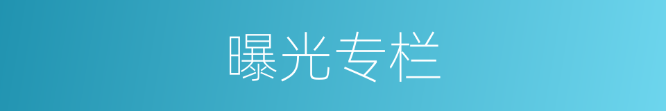 曝光专栏的同义词