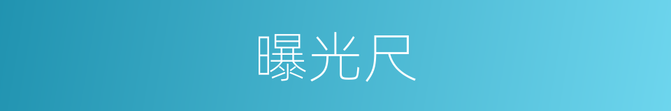 曝光尺的同义词