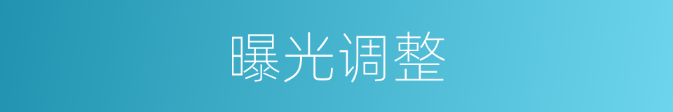 曝光调整的同义词