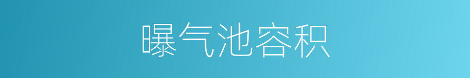 曝气池容积的同义词