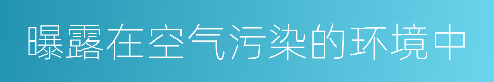 曝露在空气污染的环境中的同义词