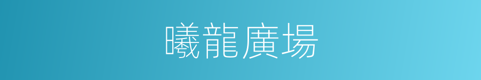 曦龍廣場的同義詞