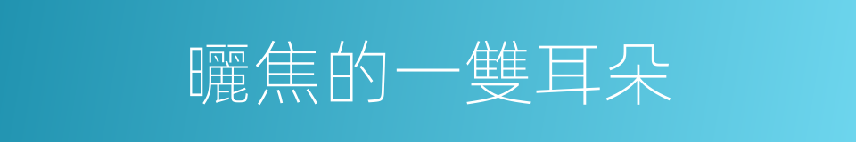 曬焦的一雙耳朵的同義詞