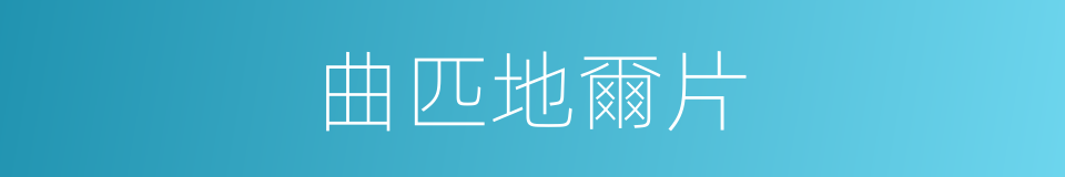 曲匹地爾片的同義詞