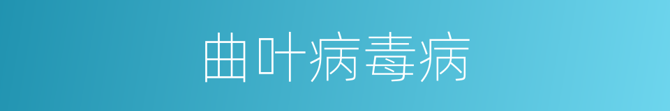 曲叶病毒病的同义词