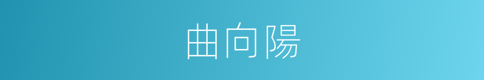 曲向陽的同義詞