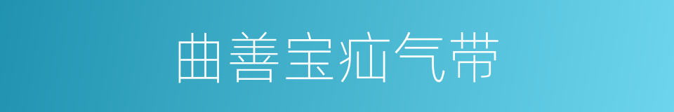 曲善宝疝气带的同义词
