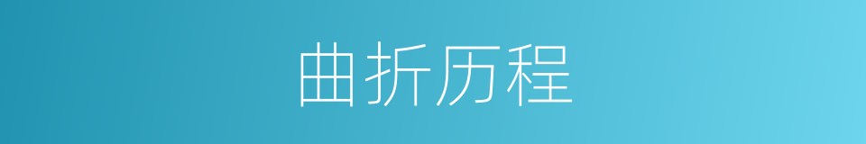 曲折历程的同义词