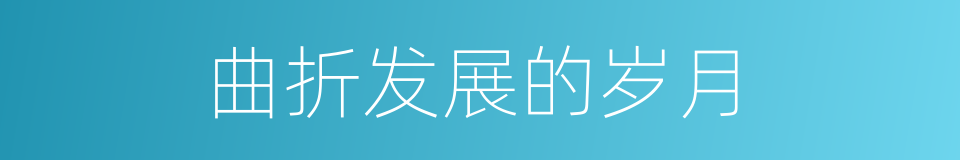 曲折发展的岁月的同义词