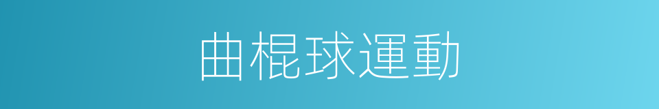 曲棍球運動的同義詞