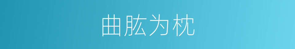 曲肱为枕的意思