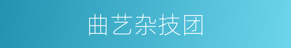 曲艺杂技团的同义词