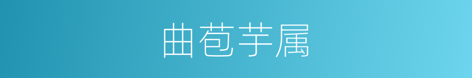曲苞芋属的同义词