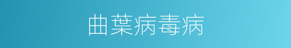 曲葉病毒病的同義詞