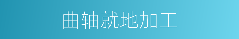 曲轴就地加工的同义词