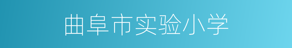 曲阜市实验小学的同义词