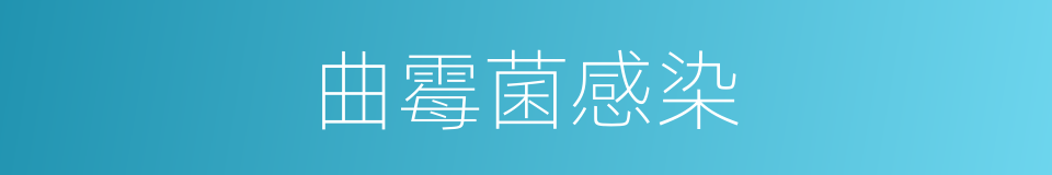 曲霉菌感染的同义词