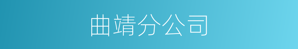 曲靖分公司的同义词