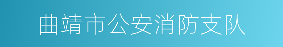 曲靖市公安消防支队的同义词