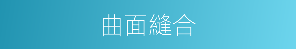 曲面縫合的同義詞