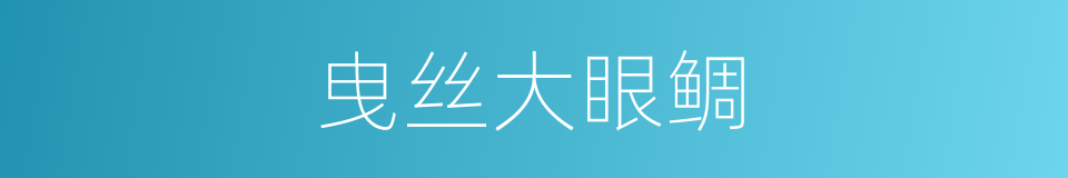 曳丝大眼鲷的同义词
