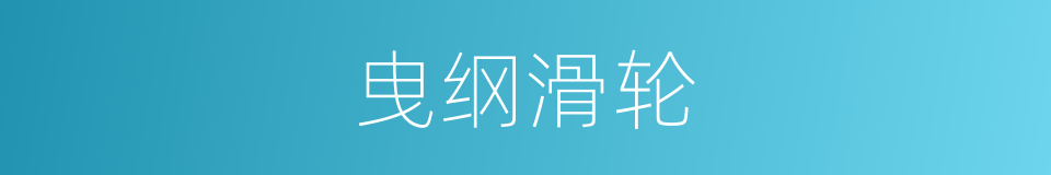 曳纲滑轮的同义词