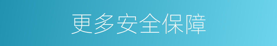 更多安全保障的同义词