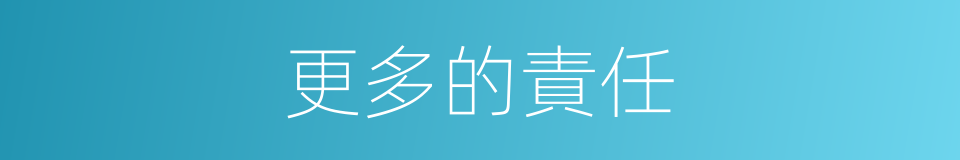 更多的責任的同義詞