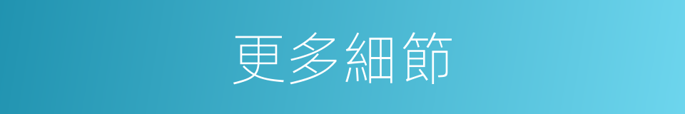 更多細節的同義詞