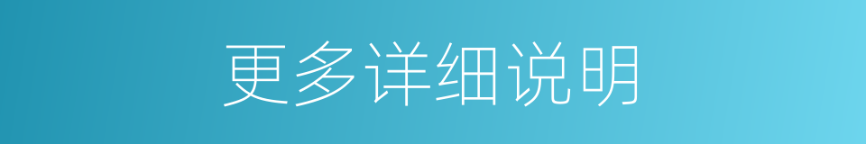 更多详细说明的同义词