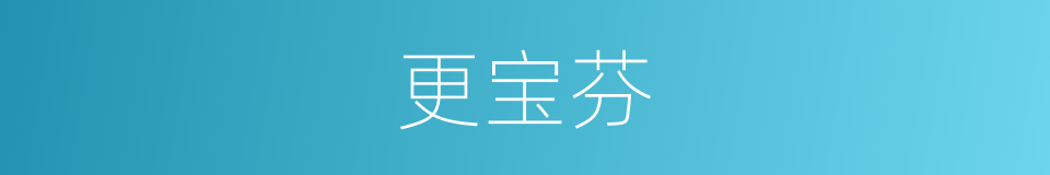 更宝芬的同义词